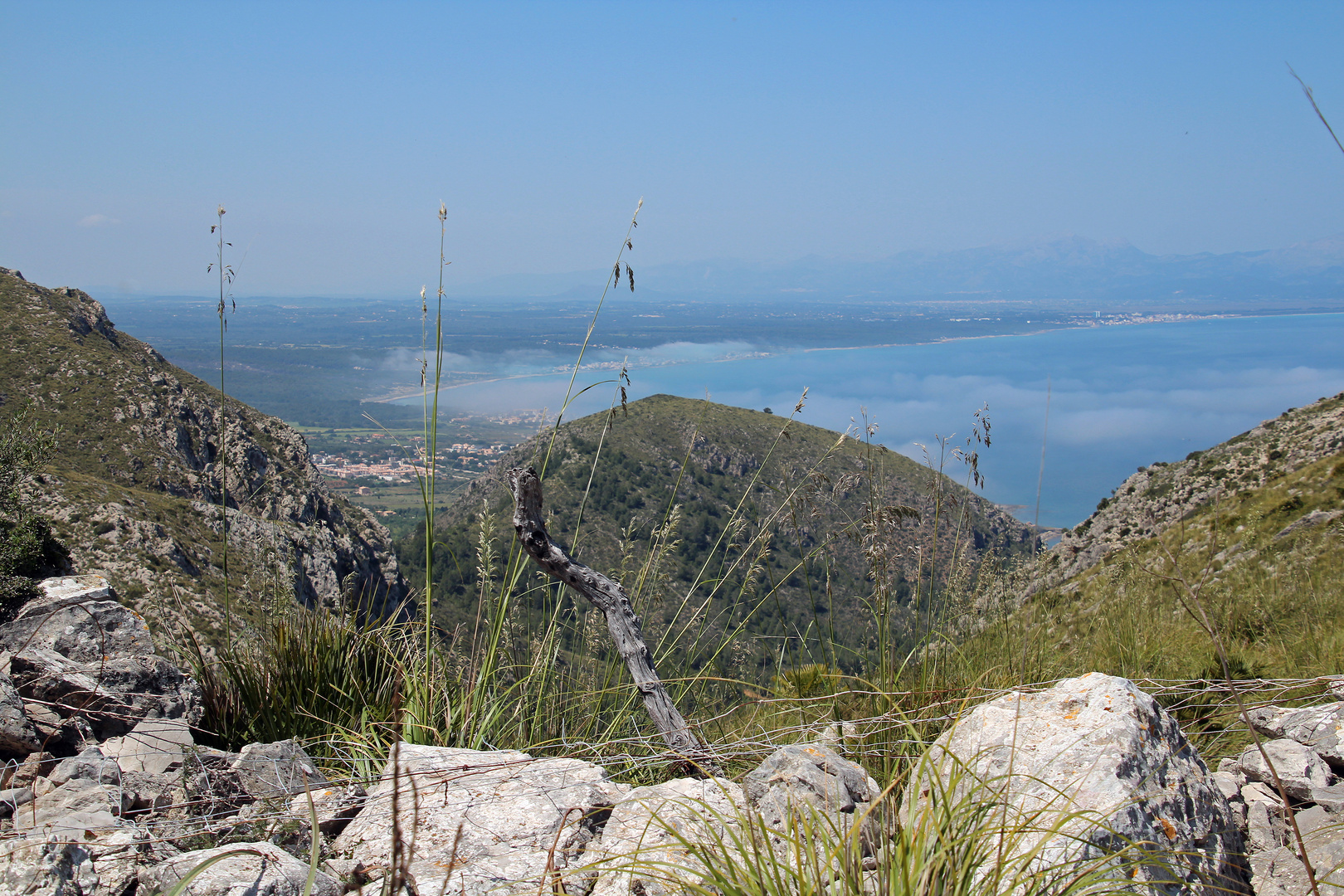 Bucht von Alcudia, Mallorca