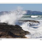 Bucht von Alcudia / Mallorca