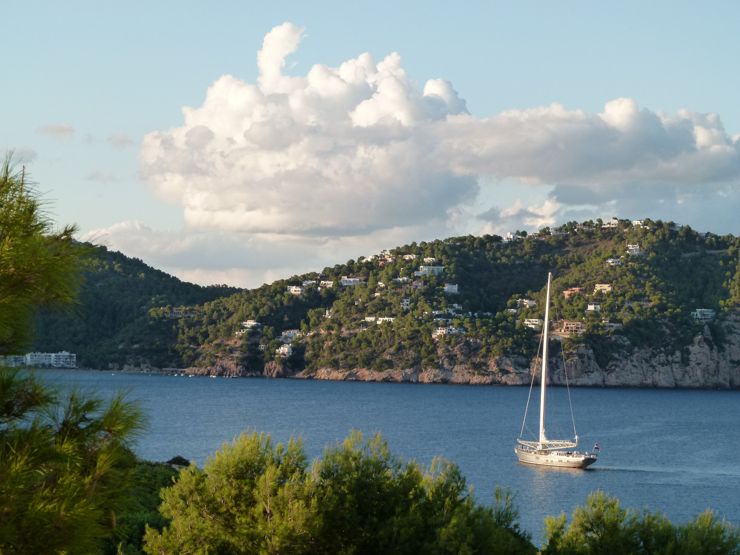 Bucht von Cala Blanca Ibiza