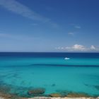 Bucht von Cala Mesquida / Mallorca