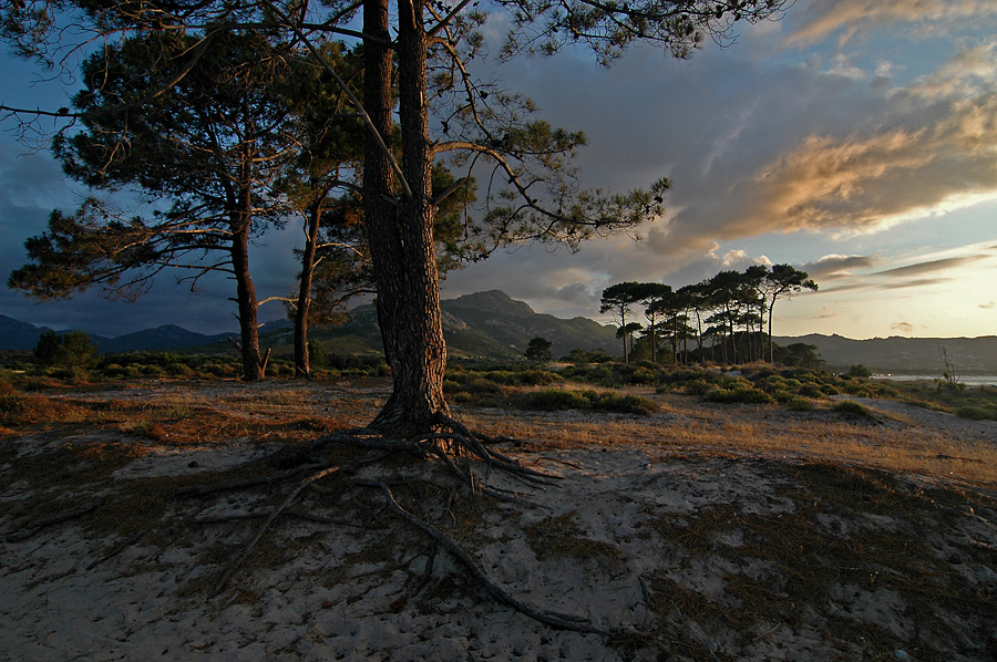 Bucht von Calvi