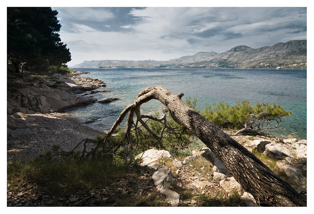 Bucht von Cavtat