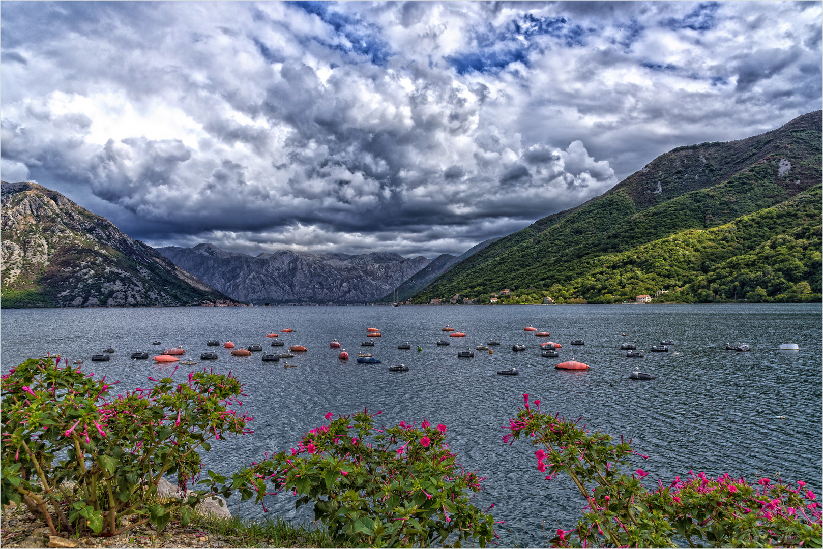 Bucht von Kotor