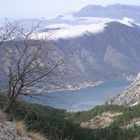 Bucht von Kotor Blick auf Mur