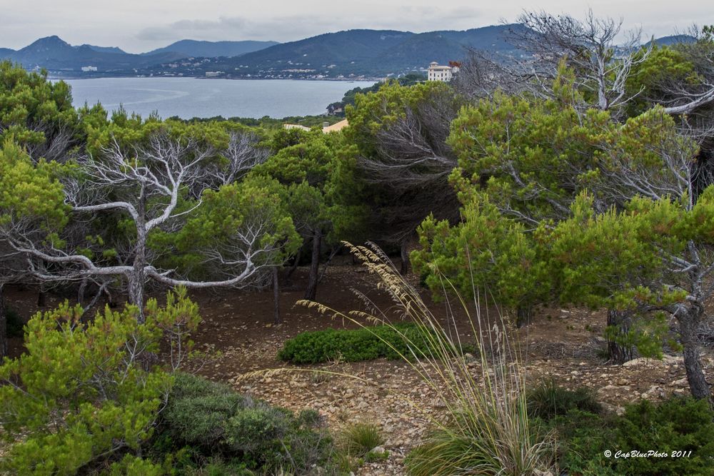 Bucht von Punta de CapdePera