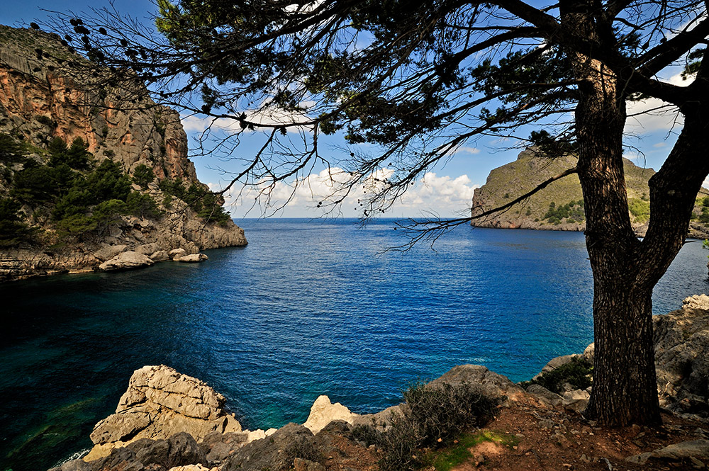 Bucht von Sa Calobra