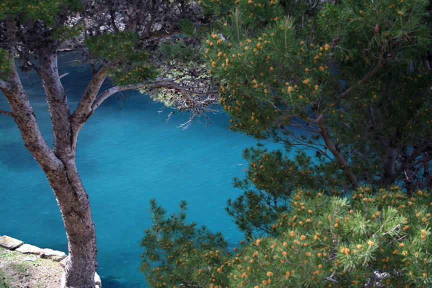 Bucht von Sa Calobra /