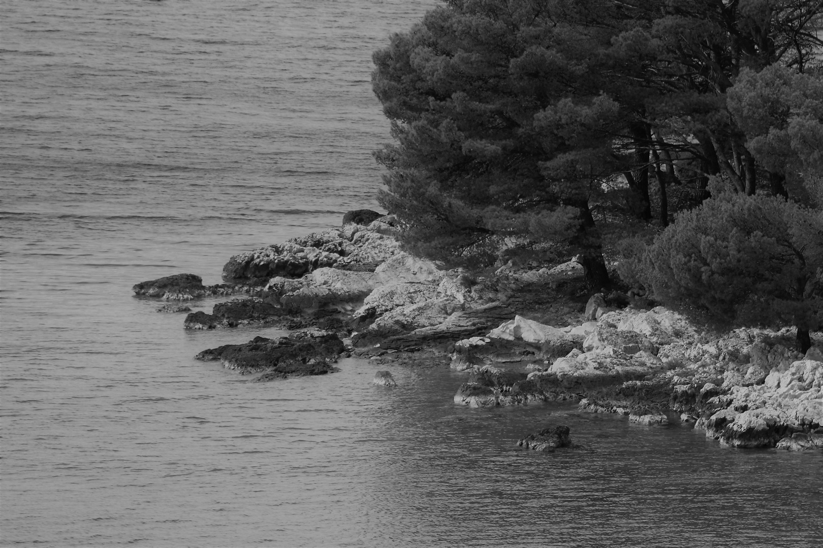 Buchten über Buchten am Meer