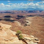 [ Buck Canyon Overlook ]