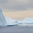 Buckelwale zwischen dem Eis - 1