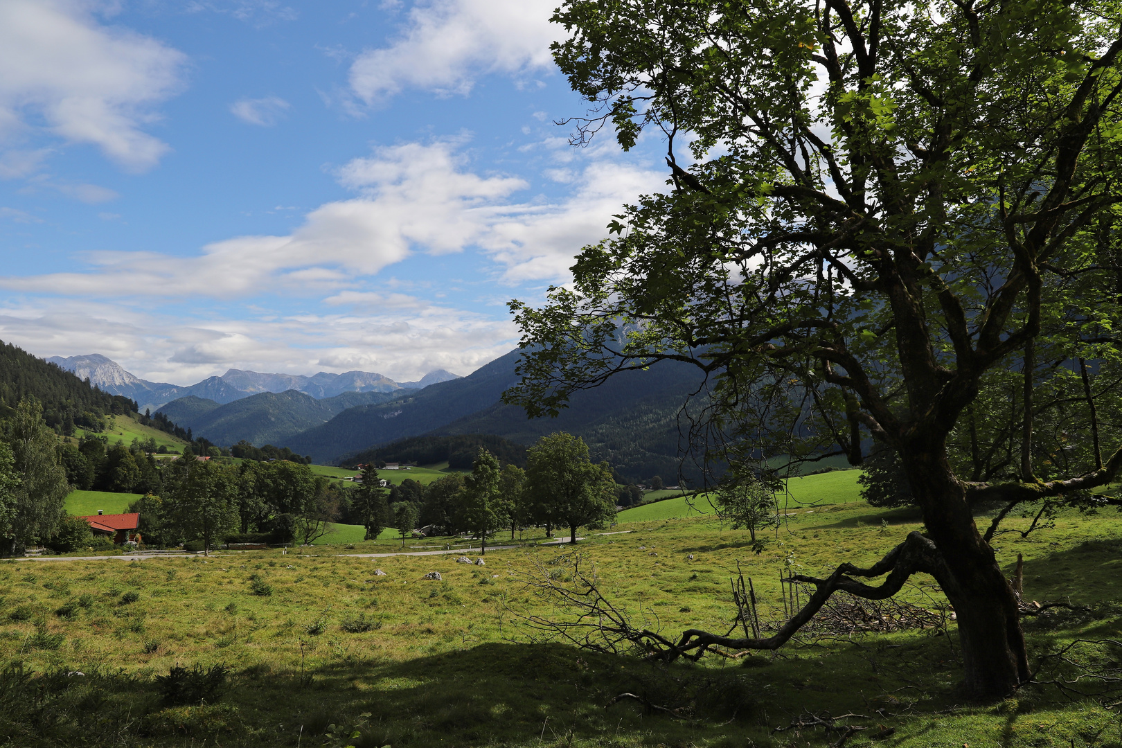 Buckelwiese bei Luegeck (2019_09_12_6184_ji)