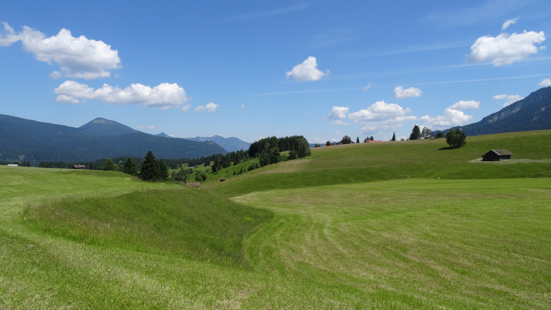 Buckelwiese bei Mittenwald