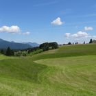 Buckelwiese bei Mittenwald