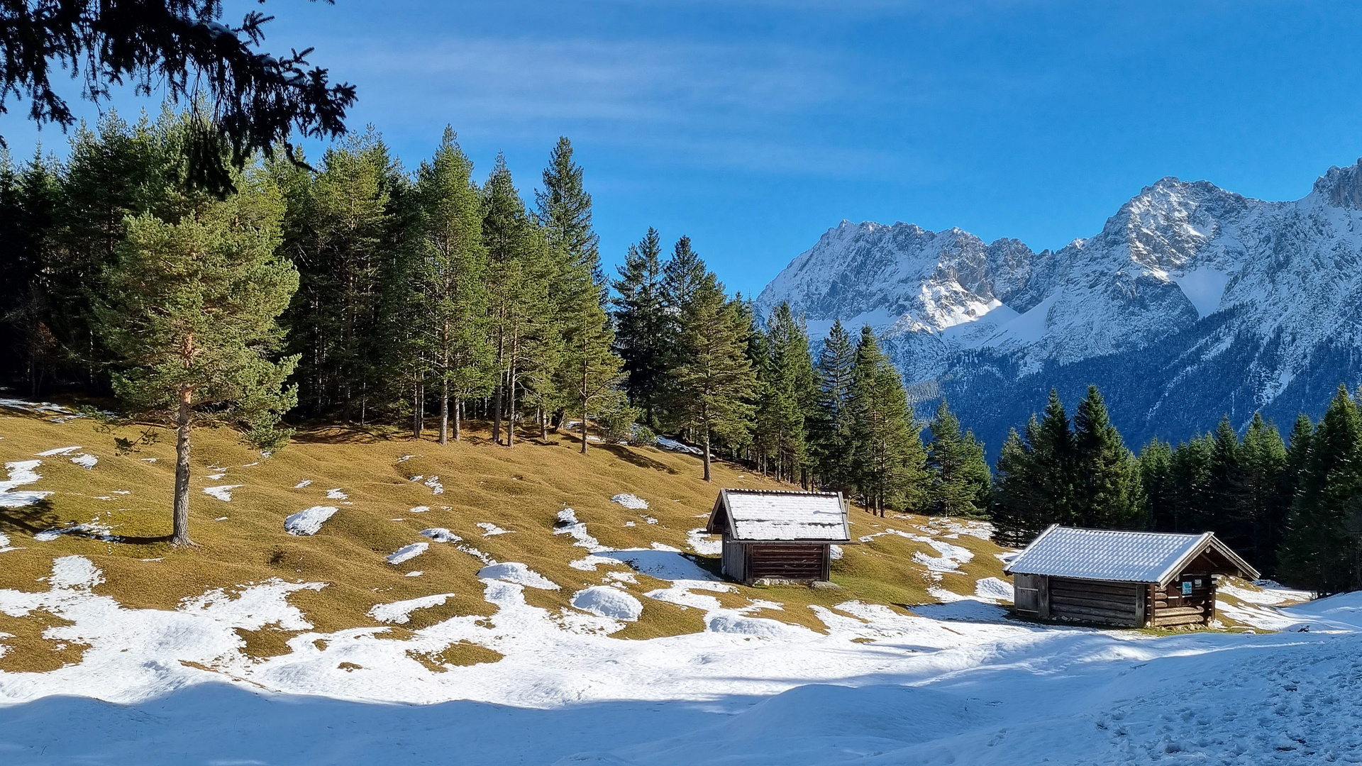 Buckelwiesen am Weg zum Kranzberg