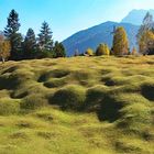 Buckelwiesen bei Krün, Garmisch-Partenkirchen