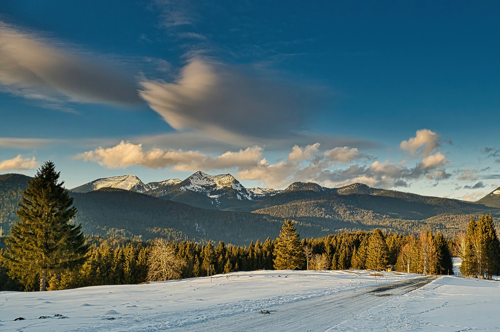 Buckelwiesen bei Mittenwald 