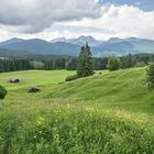 Buckelwiesen bei Mittenwald