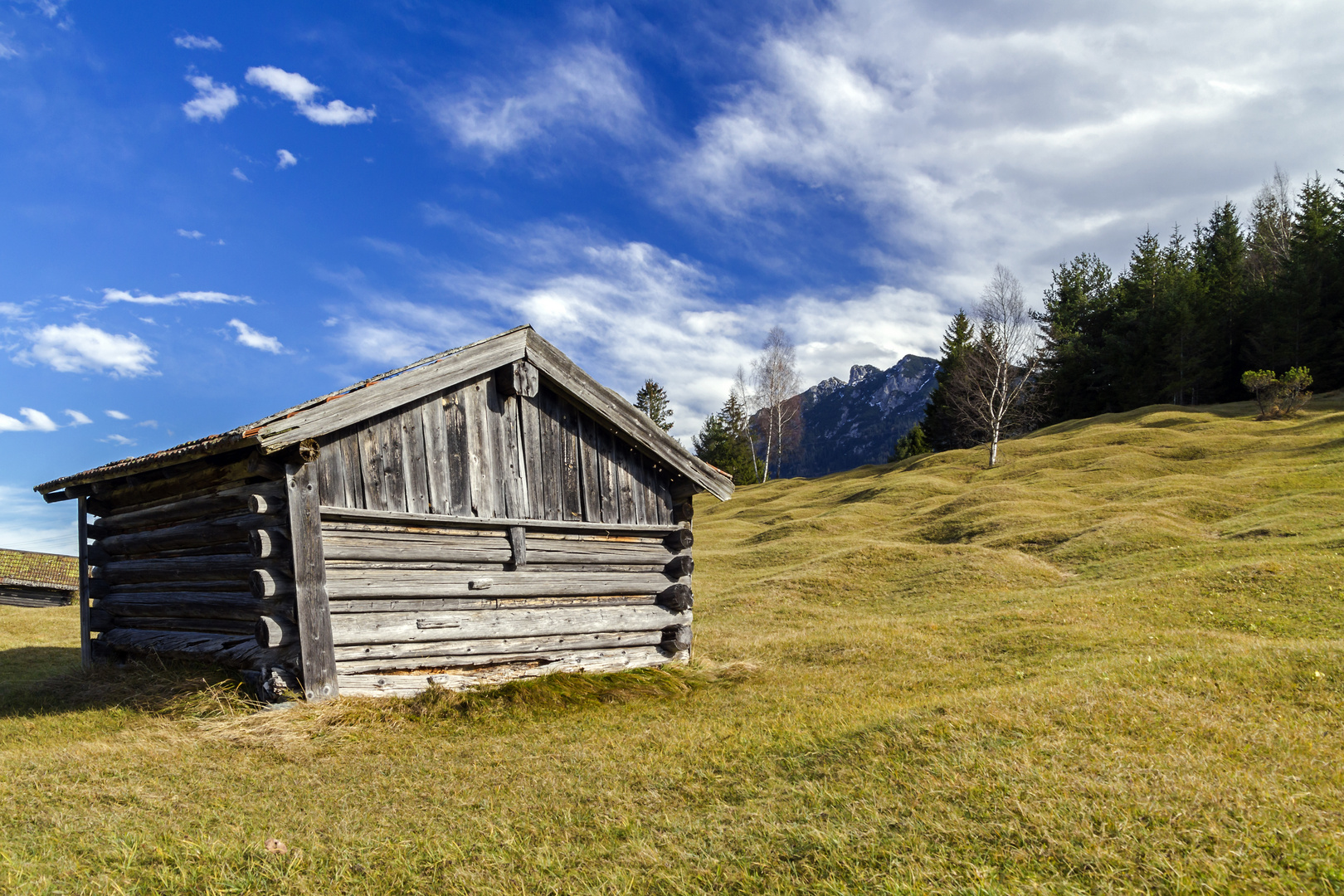 Buckelwiesen bei Mittenwald