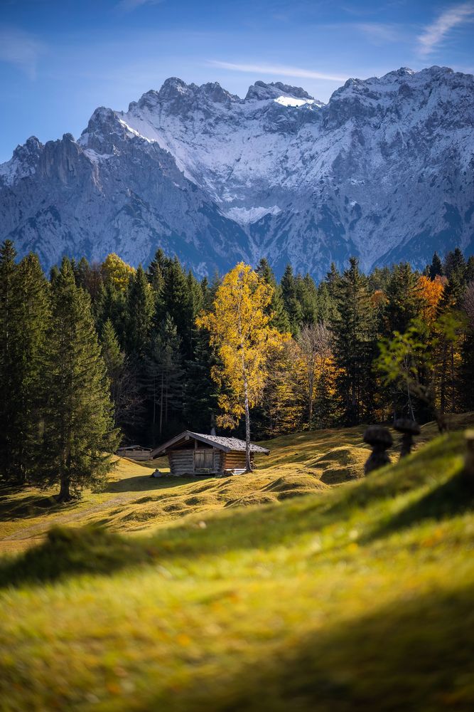 ~ BUCKELWIESEN IM HERBST ~