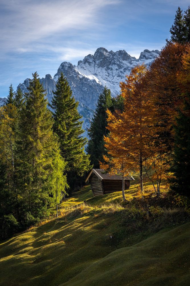 ~ BUCKELWIESEN IM HERBST II ~