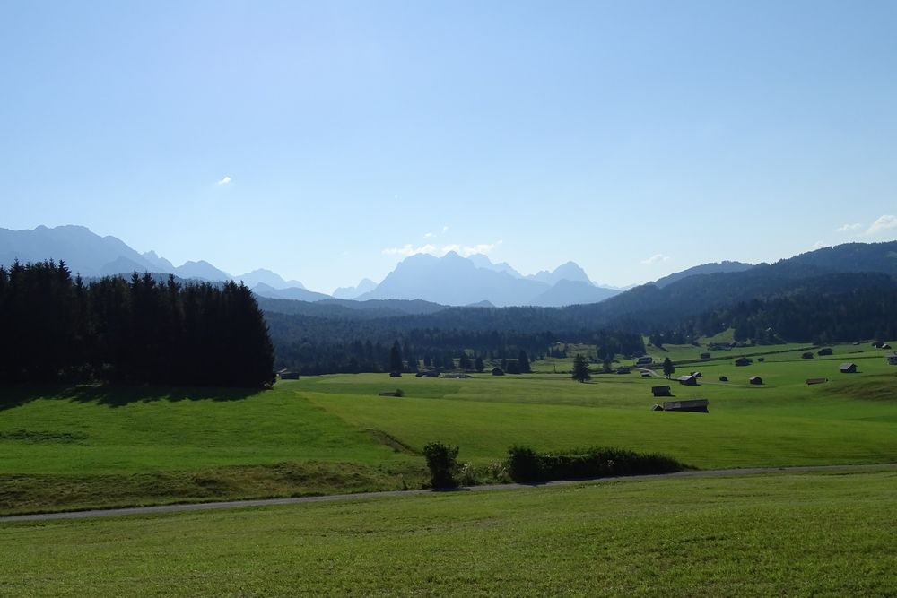 Buckelwiesen mit Alpenpanorama