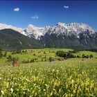 ~ Buckelwiesen und Karwendel in 2:3 ~