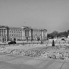 Buckingham Palace