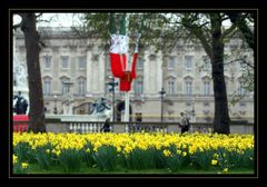 Buckingham Palace