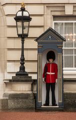 Buckingham Palace - Queen's Guard