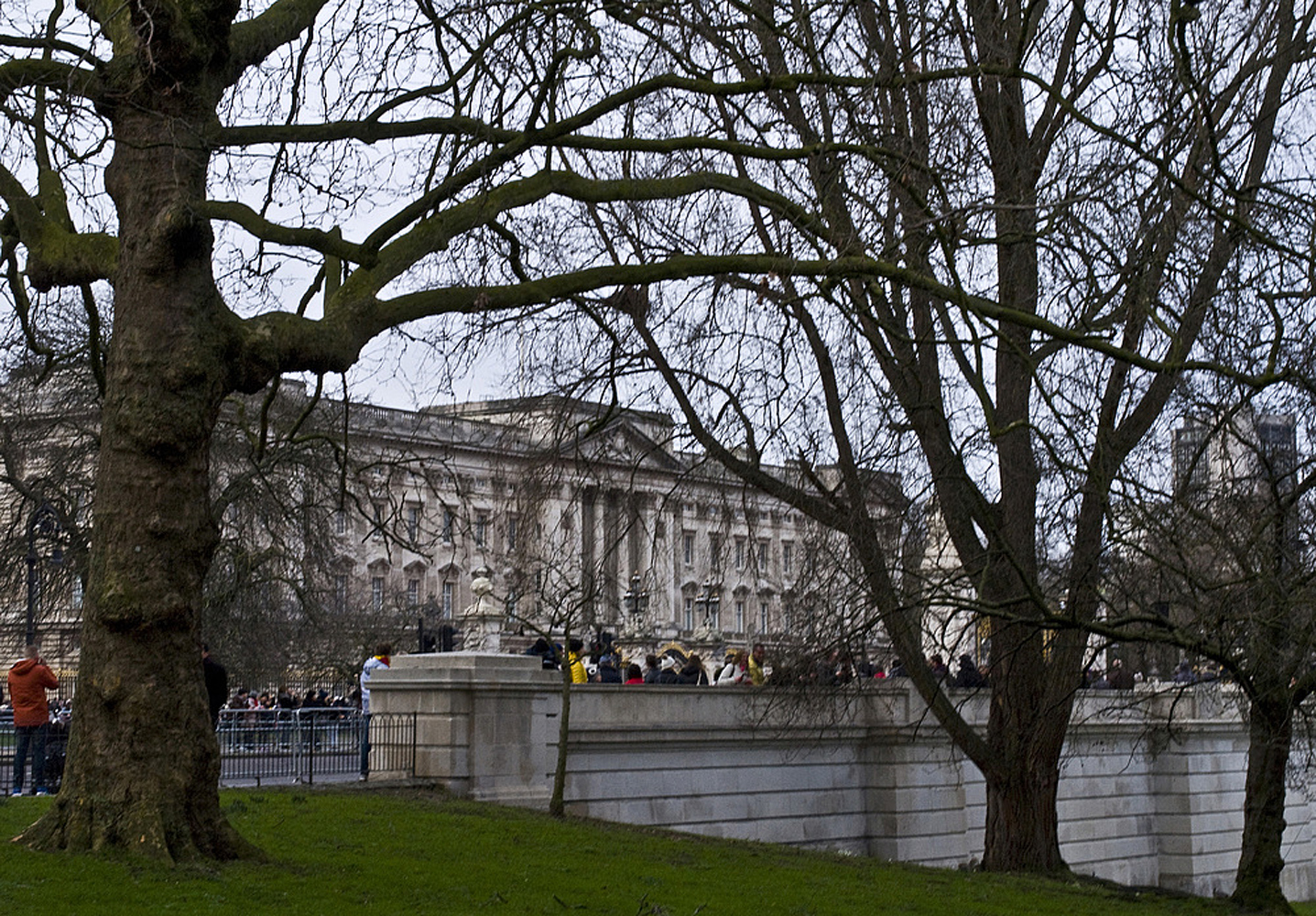 Buckingham Palace vu du St-James Park