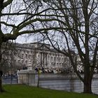 Buckingham Palace vu du St-James Park