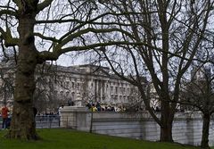 Buckingham Palace vu du St-James Park