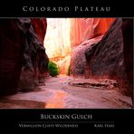 Buckskin Gulch