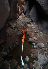 buckskin gulch