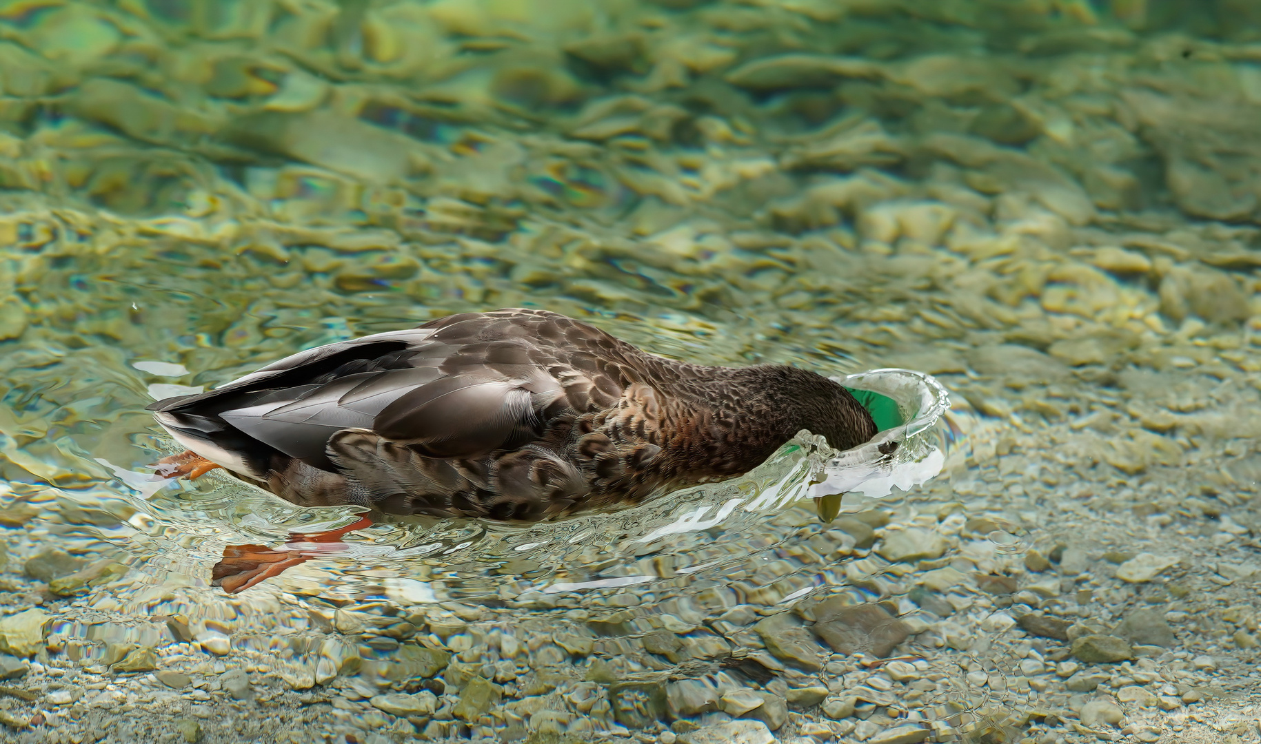 Buco nell' acqua