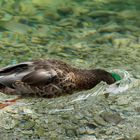 Buco nell' acqua