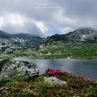 Bucura lake, Retezat mountains, Romania