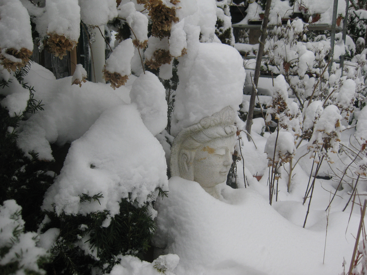 Buda im Schnee