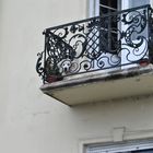 Budapest, un cane sul balcone.