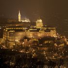 Budapester Burg