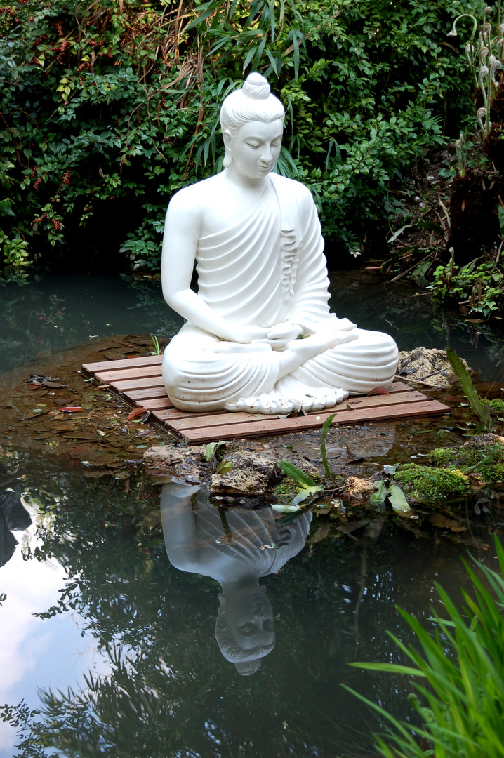 Budda