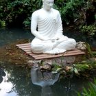 Budda