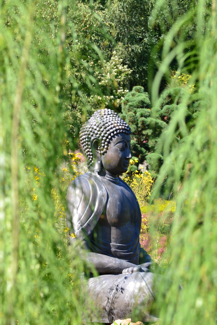 Budda