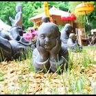 Budda im Garten