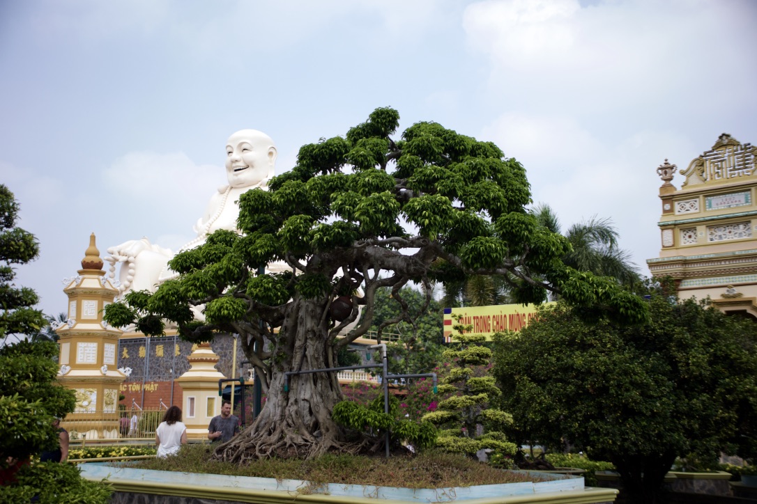 Buddah hinter Bonsai