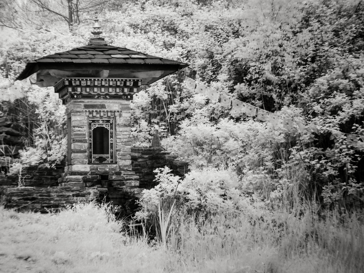 Buddah Tempel in Dennenlohe