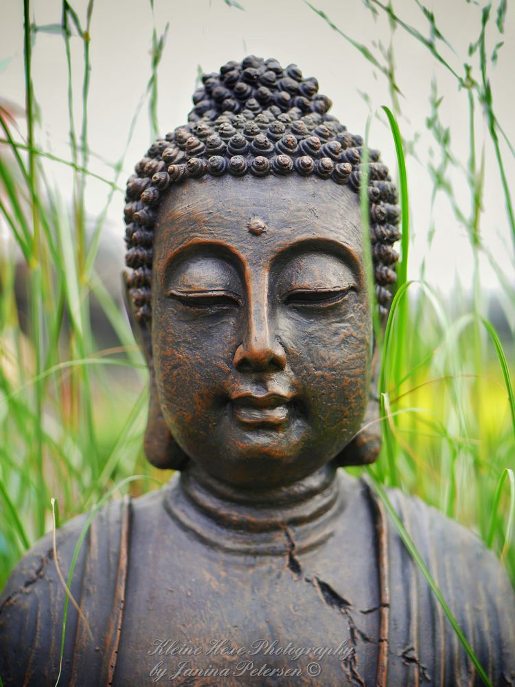 Buddha Foto & Bild | outdoor, buddhismus, schilf Bilder auf fotocommunity