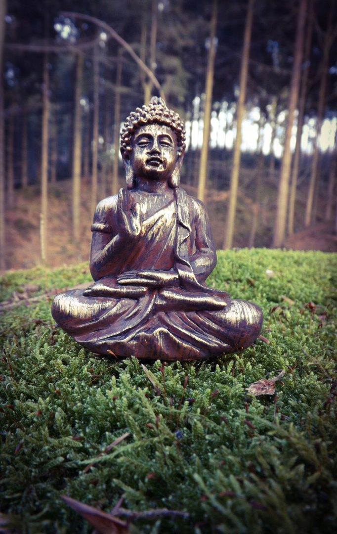 Buddha