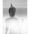 Buddha als Lichtgestalt