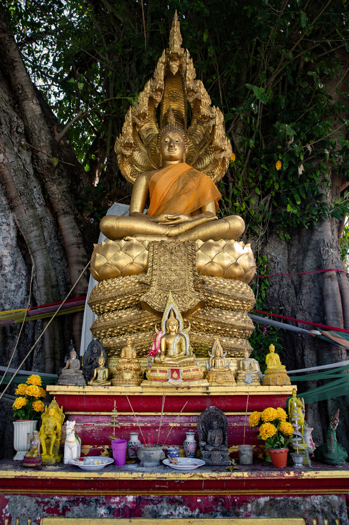 Buddha altar in Wat Chom Nang